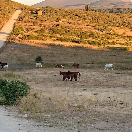 Landsted Casa Rural Spa La Ávila
