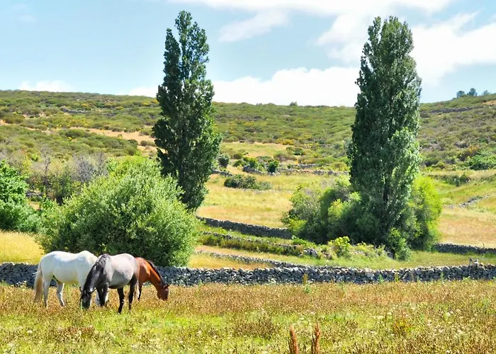 컨트리하우스 Casa Rural Spa La Ávila