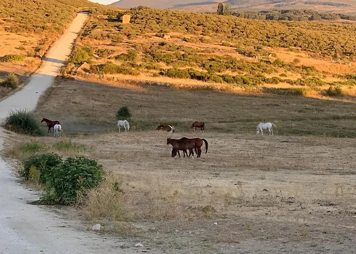 컨트리하우스 Casa Rural Spa La Ávila